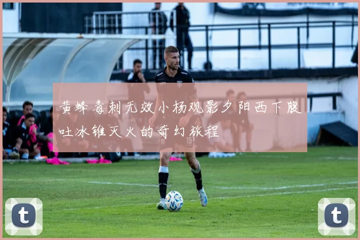 黄蜂毒刺无效小杨观影夕阳西下腹吐冰锥灭火的奇幻旅程